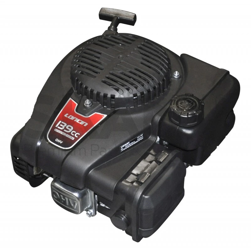 Loncin Motor, LC1P65F, 22,2MMX80MM